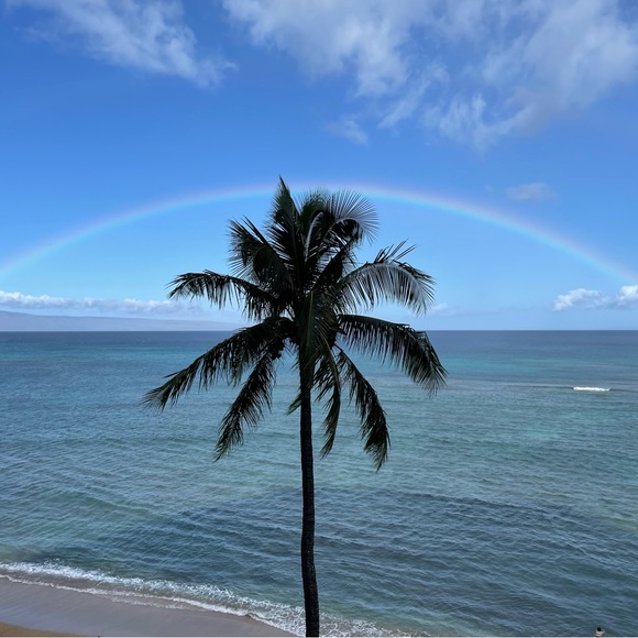 We love Posh! And we accept most offers, so please make us an offer!! - Picture 5 of 11